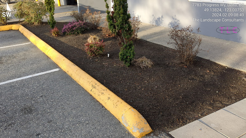 Commercial Maintenance - Landscaping Services