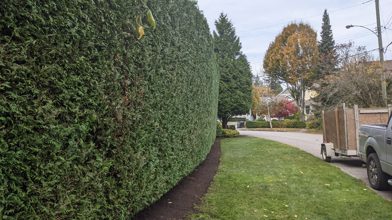 Garden Beds & Pruning - Landscaping Services