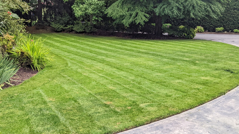 Lawn Care & Maintenance - Landscaping Services